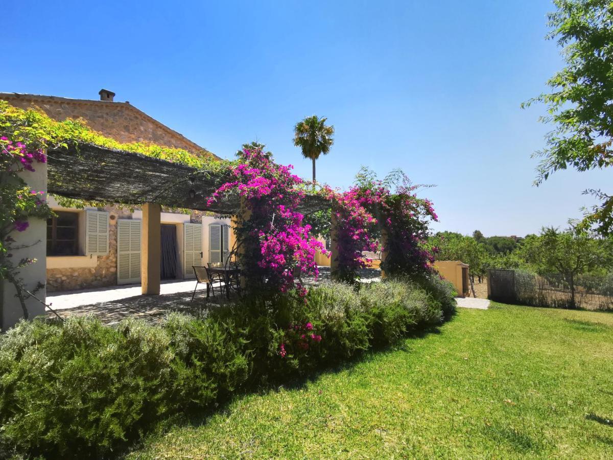 Villa Son Bauzanet